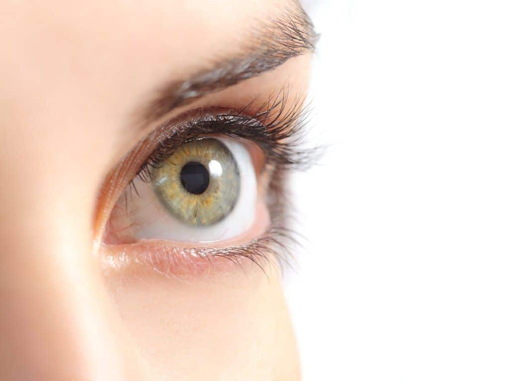 1763386553_25191645_presentation-1920w Corneal Transplants in Holly Springs, NC and Fayetteville, NC